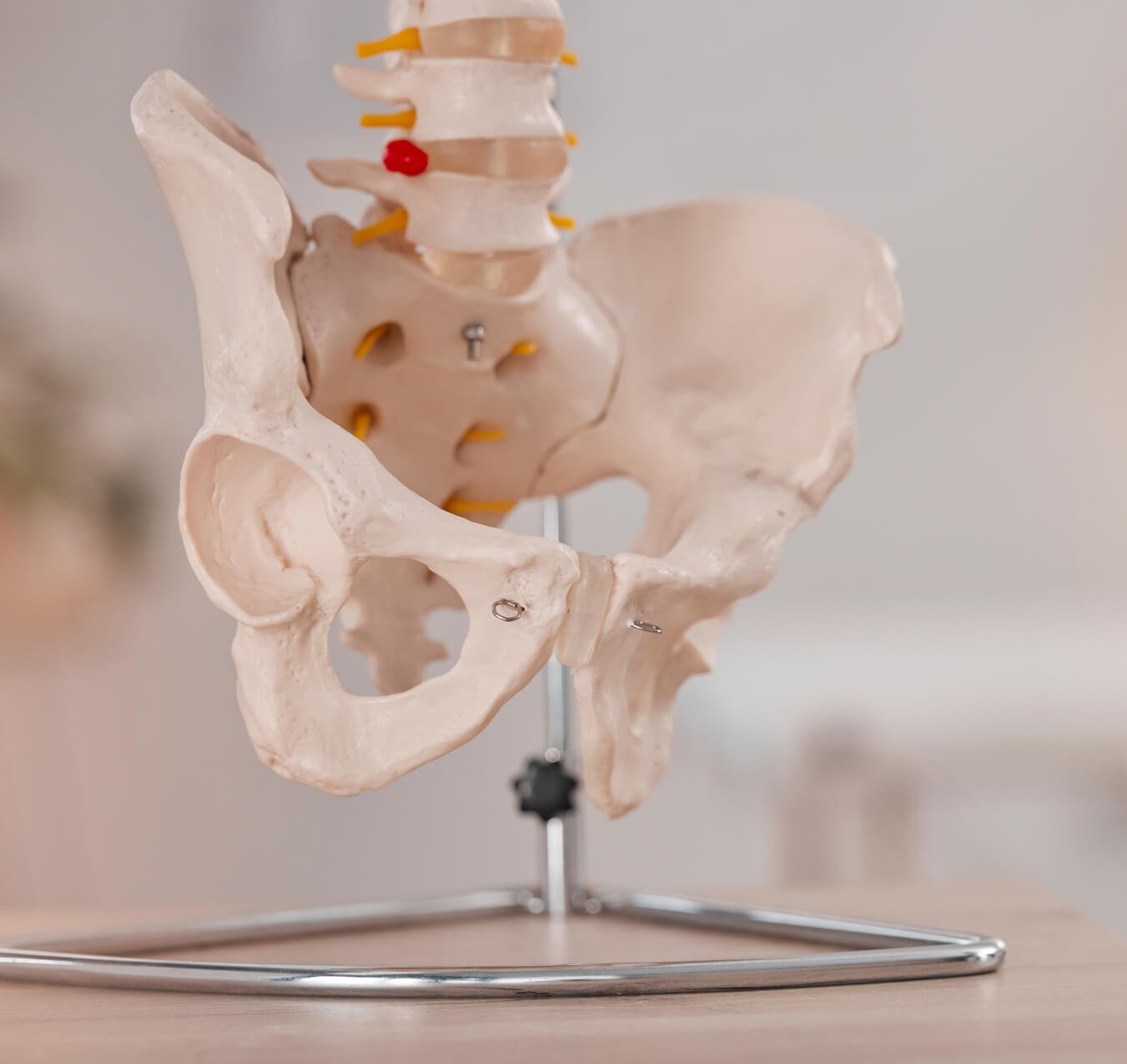 Pelvic-Physiotherapy